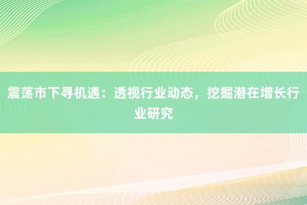震荡市下寻机遇：透视行业动态，挖掘潜在增长行业研究