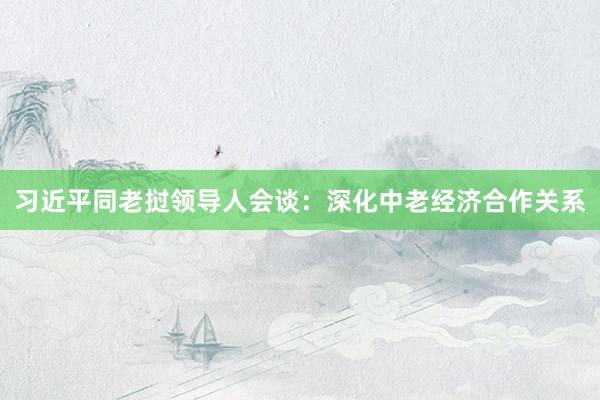 习近平同老挝领导人会谈：深化中老经济合作关系