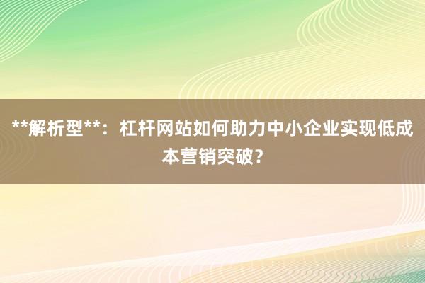 **解析型**：杠杆网站如何助力中小企业实现低成本营销突破？