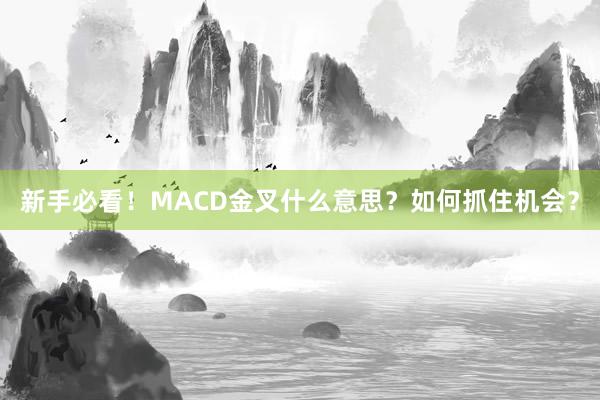 新手必看!MACD金叉什么意思?如何抓住机会?